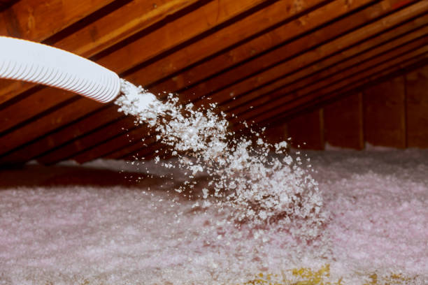 Best Spray Foam Insulation in St Pete Beach, FL