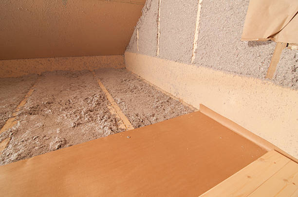 Best Geographic-Specific Insulation Services in St Pete Beach, FL