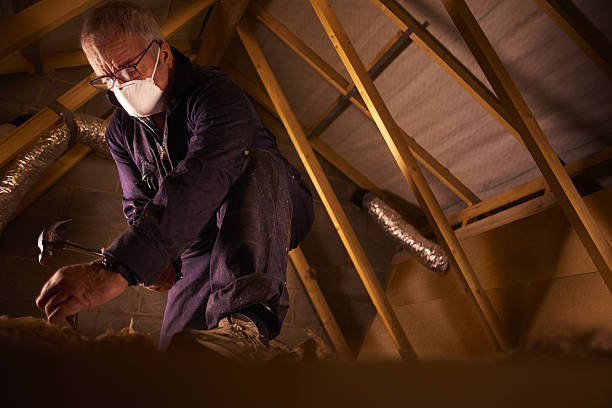 Best DIY Insulation Kits and Guidance in St Pete Beach, FL